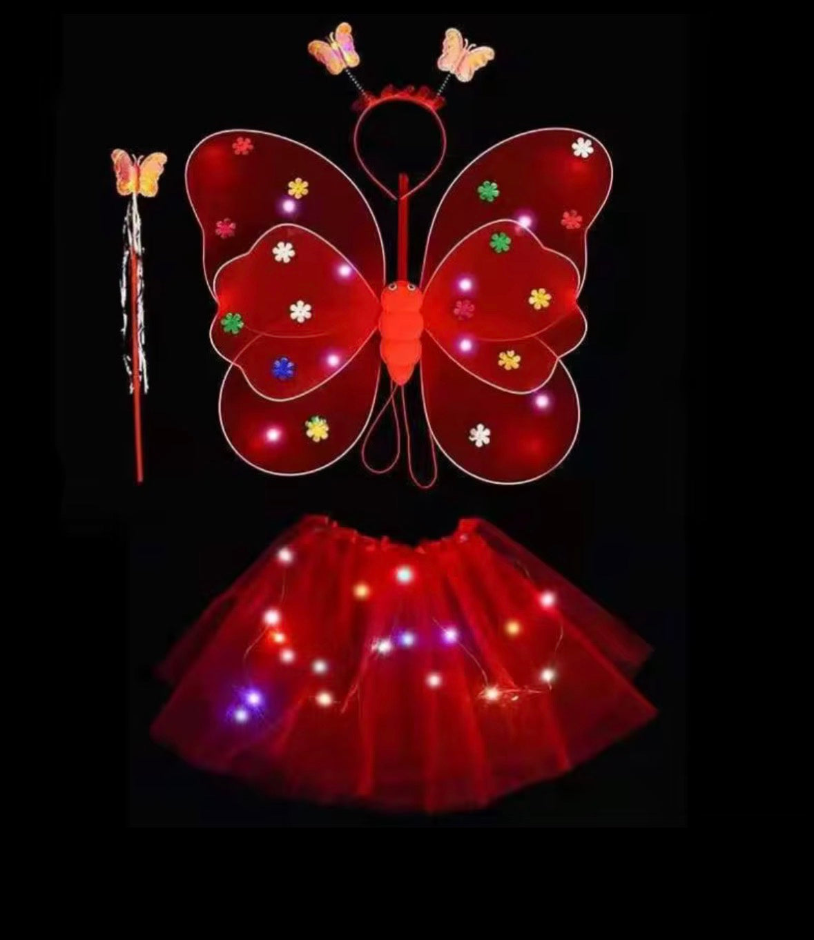 Light Up Fairy Wings and Tutu